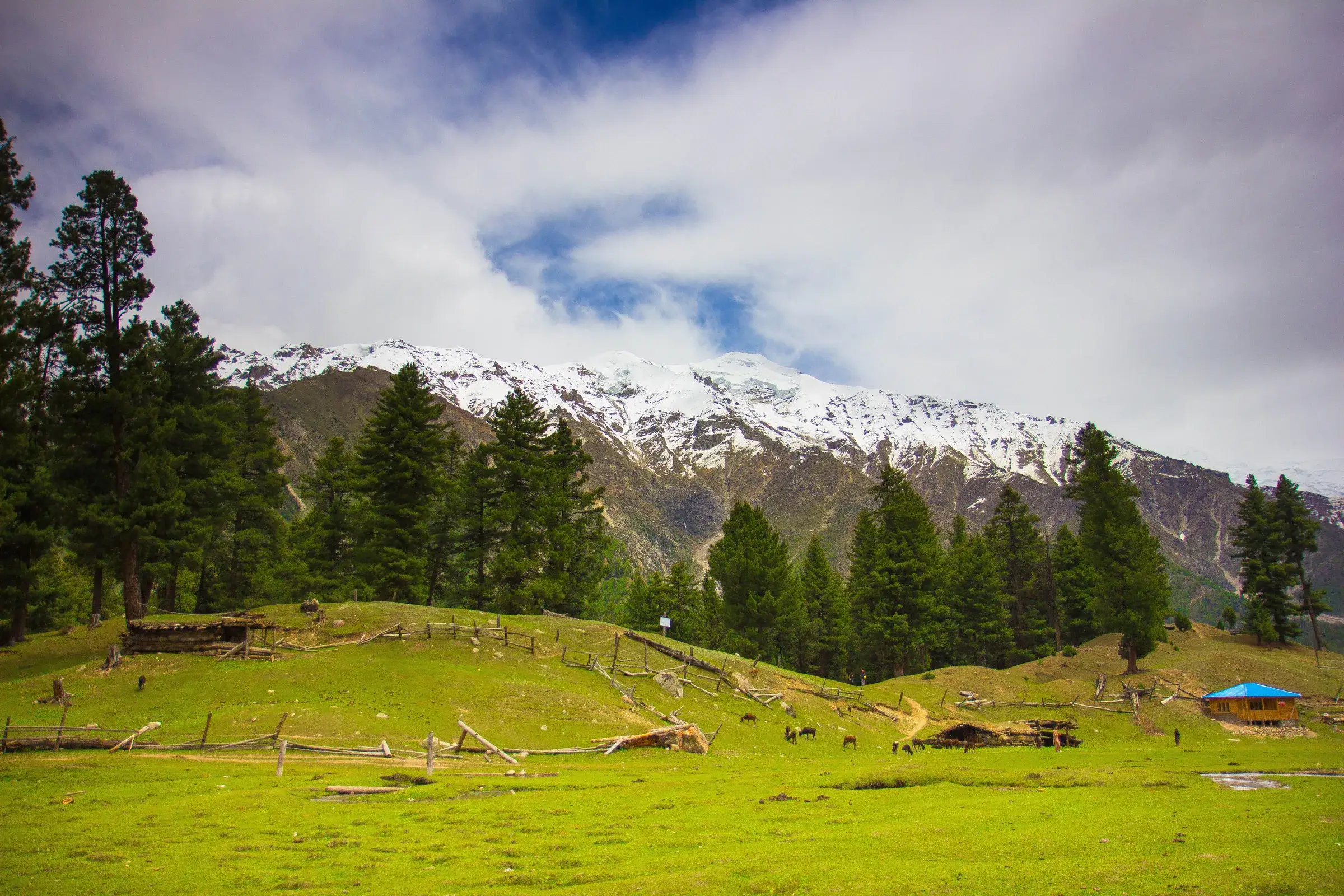 Green grassland and forest at Fairy Meadows beneath cloud-covered mountains.