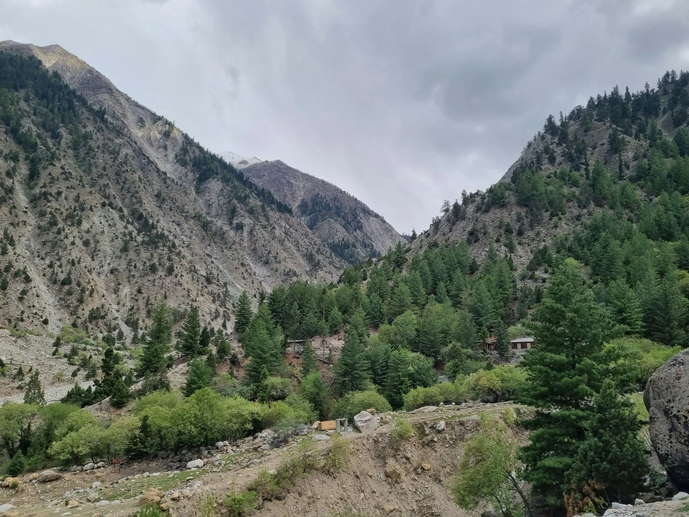 Forested valley in the Fairy Meadows area.