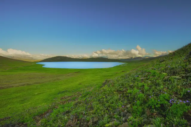 Sheosar Lake surrounded by green high-altitude grassland in Deosai.