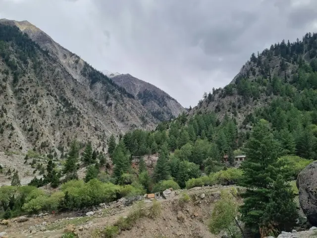 Forested valley in the Fairy Meadows area.
